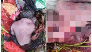 Malangnya Nasib Bayi Perempuan di Ambon, Baru Lahir, Dibuang ke Tempat Sampah, Ditemukan Sudah Tak Bernyawa