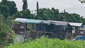 FWJ Indonesia DPD Jakarta Singgung Usaha Pemotongan Mobil Bekas Sasar Lahan RTH Cilincing