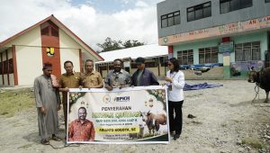Wujud Kepedulian dan Toleransi, Arianto Kogoya Serahkan Bingkisan Ramadan dan Bantuan Hewan Kurban di Papua Pegunungan