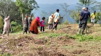 Perkuat Ketahanan Pangan Nasional, Satgas TMMD ke-128 Kodim 0621/Kab. Bogor Gelar Penanaman Jagung dan Pohon Keras di Desa Banyuasih