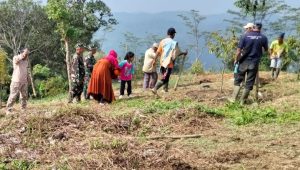 Perkuat Ketahanan Pangan Nasional, Satgas TMMD ke-128 Kodim 0621/Kab. Bogor Gelar Penanaman Jagung dan Pohon Keras di Desa Banyuasih
