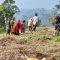 Perkuat Ketahanan Pangan Nasional, Satgas TMMD ke-128 Kodim 0621/Kab. Bogor Gelar Penanaman Jagung dan Pohon Keras di Desa Banyuasih