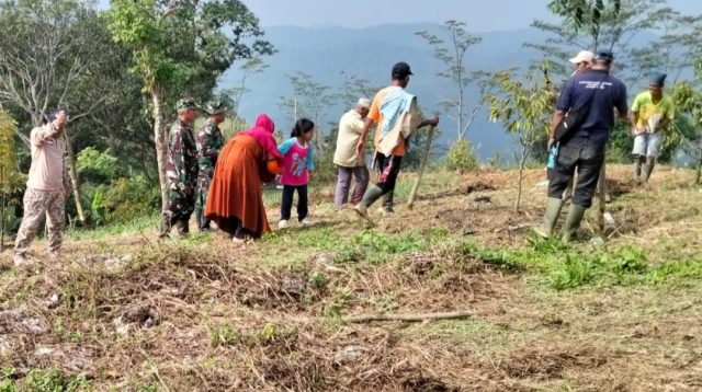 Perkuat Ketahanan Pangan Nasional, Satgas TMMD ke-128 Kodim 0621/Kab. Bogor Gelar Penanaman Jagung dan Pohon Keras di Desa Banyuasih