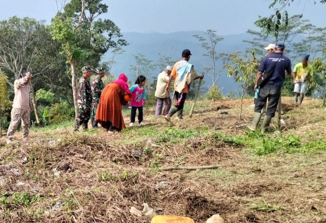 Perkuat Ketahanan Pangan Nasional, Satgas TMMD ke-128 Kodim 0621/Kab. Bogor Gelar Penanaman Jagung dan Pohon Keras di Desa Banyuasih
