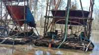 Tim gabungan tertipkan penambang di kawasan Hutan Lindung Pantai,