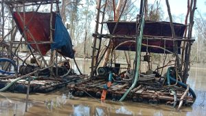 Tim gabungan tertipkan penambang di kawasan Hutan Lindung Pantai,
